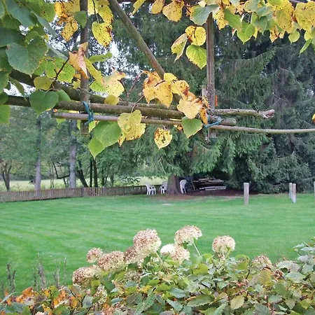 In With Kitchen Ferienhaus Lunebach